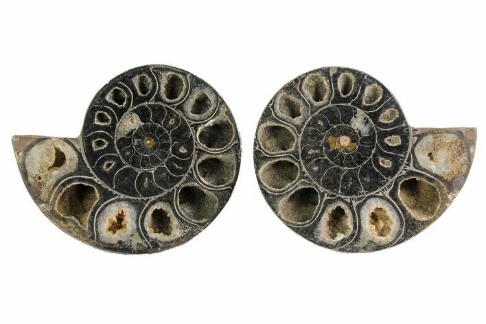 Black, Cut & Polished Ammonite Pair - Crystal Filled #166726